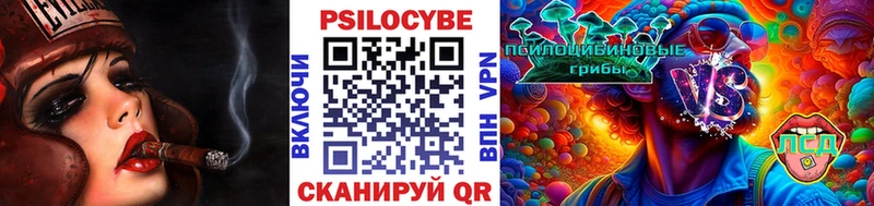 Псилоцибиновые грибы Cubensis  Агрыз 